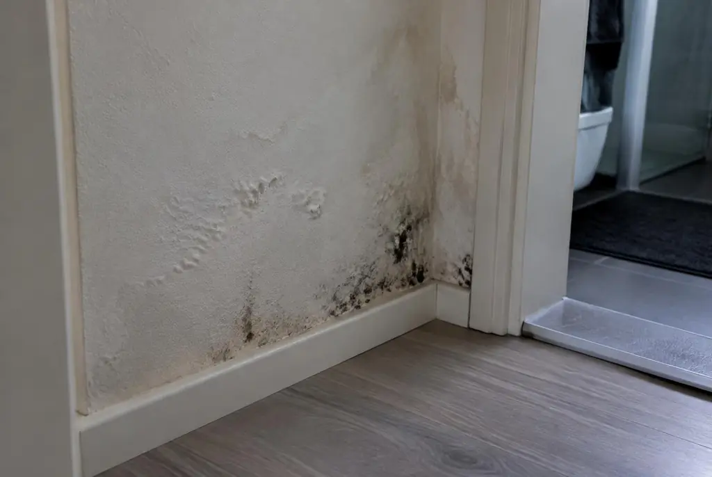 Lekdetectie Bennekom – vochtplek met schimmel op een muur